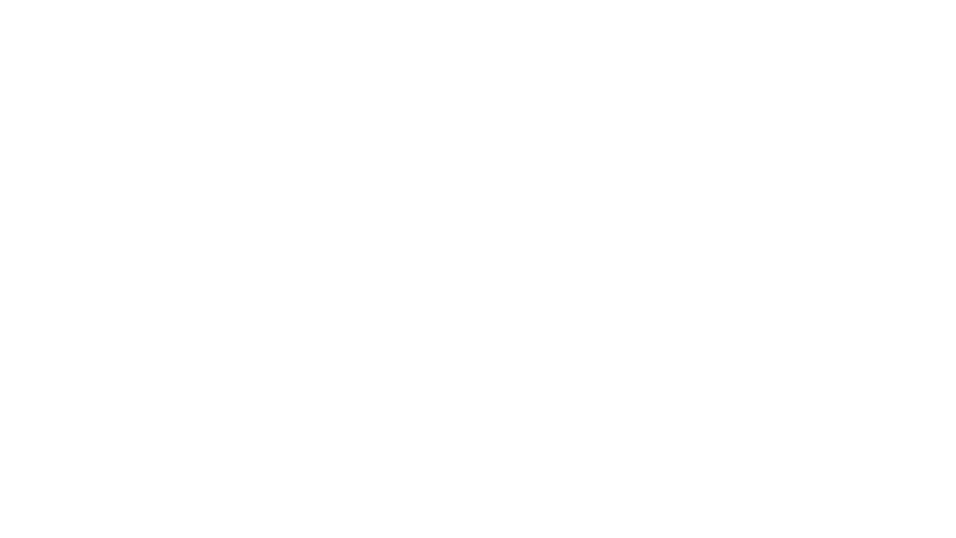 large_strategy_white on transperant